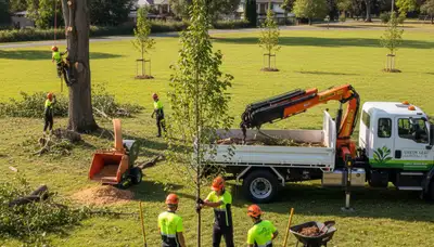 Arborist planting new tree in Royal Oak MI yard for Chop Chop Tree professional tree service