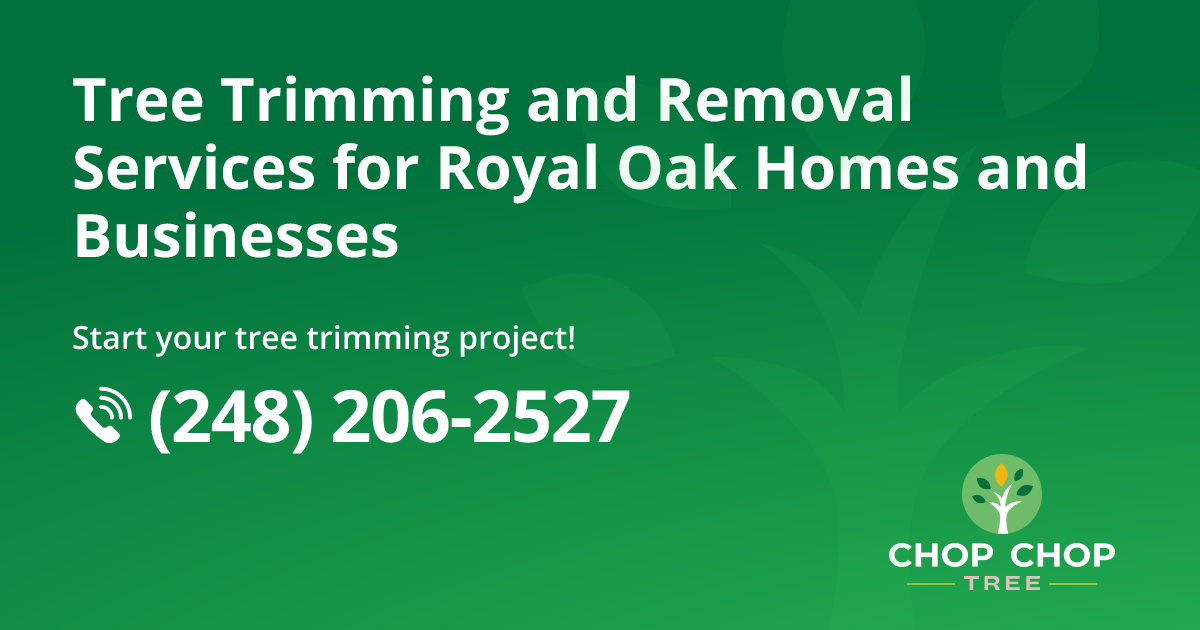 Royal Oak Tree Removal and Tree Care Services | Chop Chop Tree